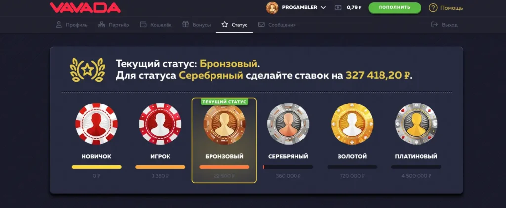 Программа лояльности и VIP-статусы